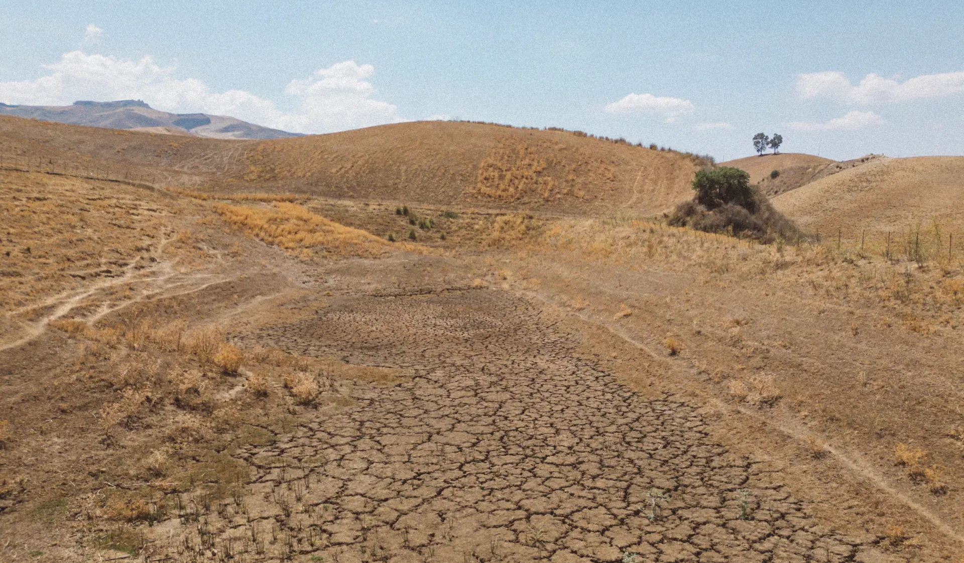 Dry hills with cracked earth — a site that could benefit from ReGen