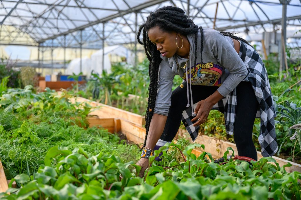 Female aquaponics farmer tending crops in a greenhouse in Africa