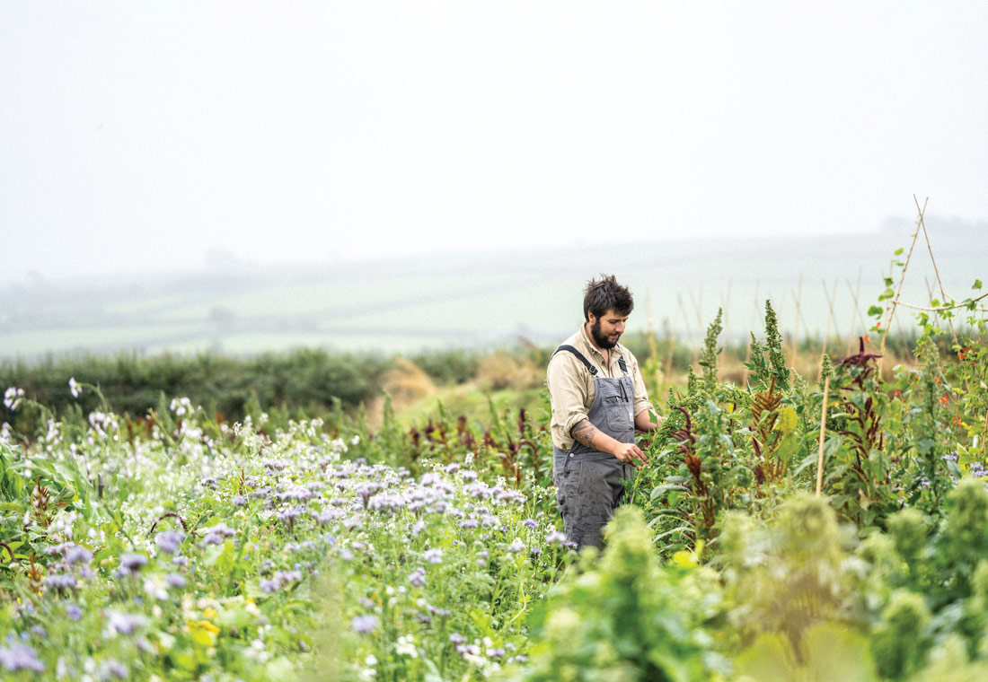 Farmer working in a lush regenerative field