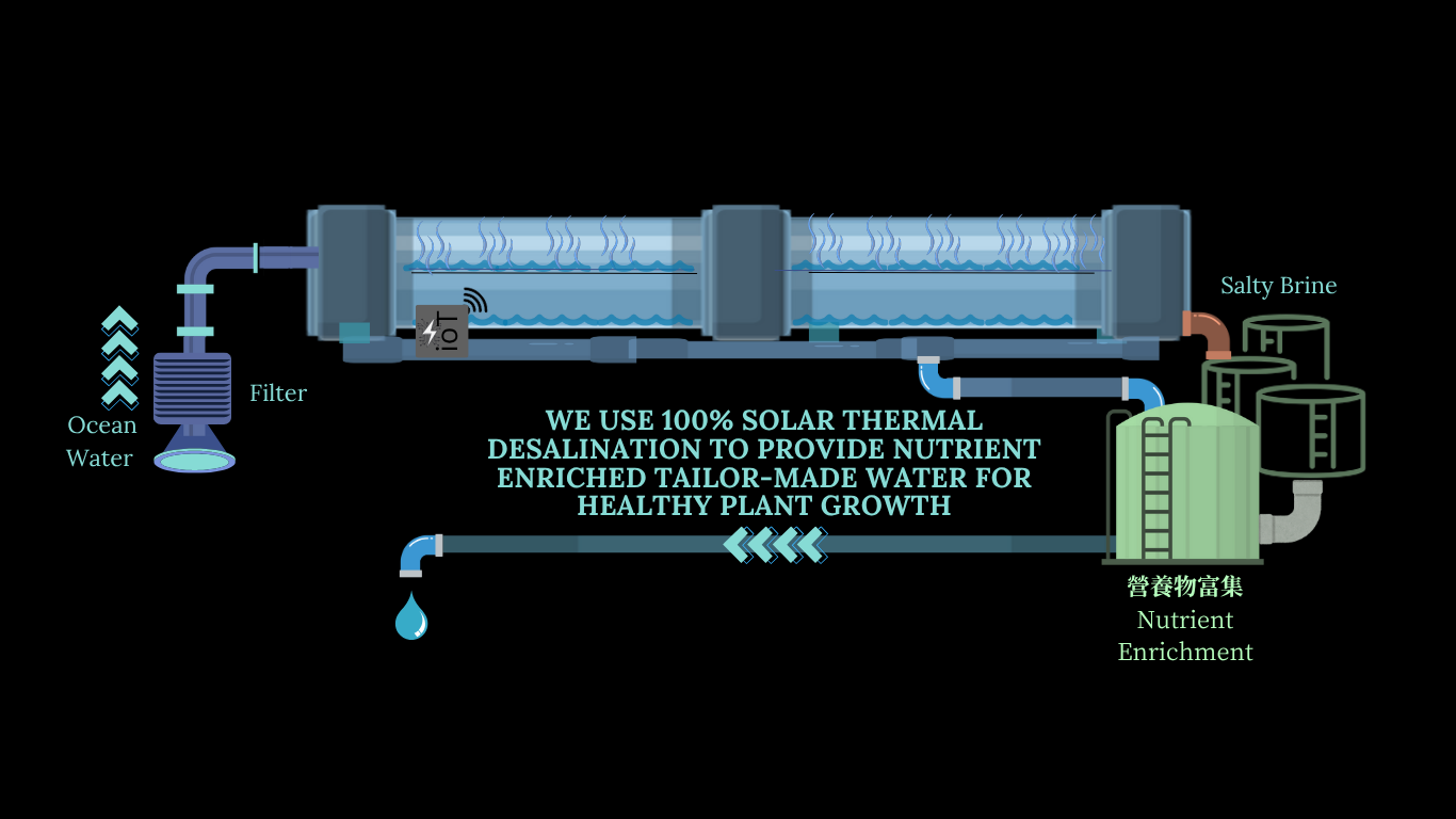 Diagram of Desalination Process